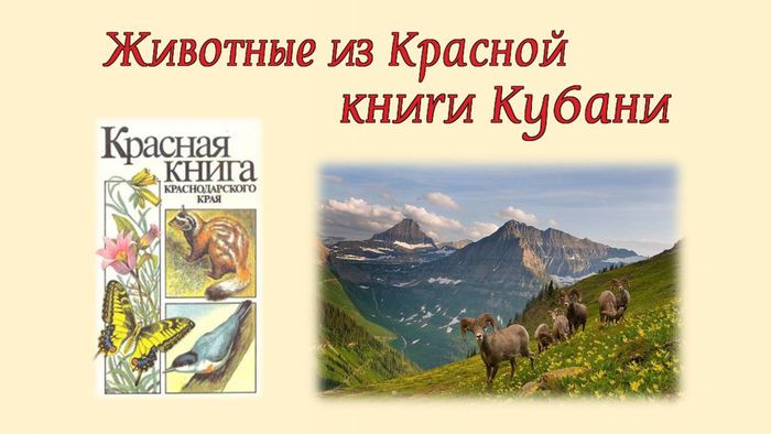Животные из красной книги Кубани